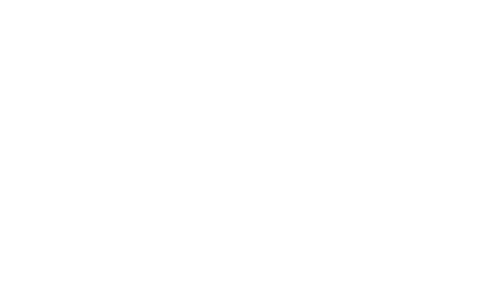 BF Logo